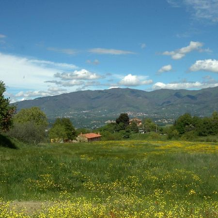 Hostal I Gelsi Figline Valdarno Exterior foto